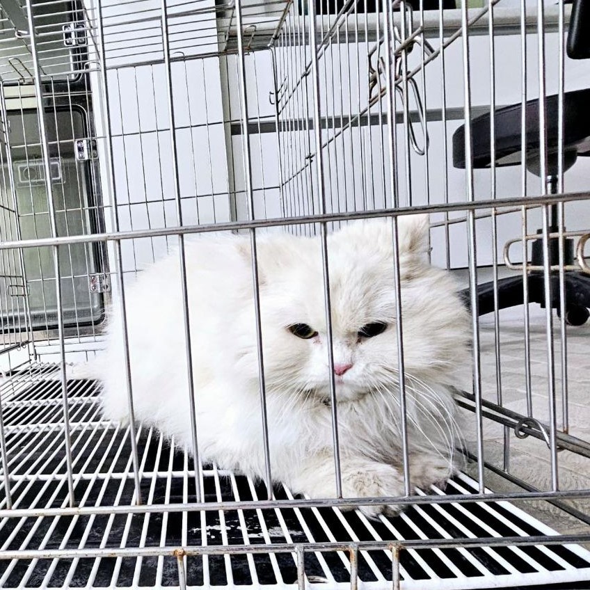 통영시동물보호센터_448533202400009